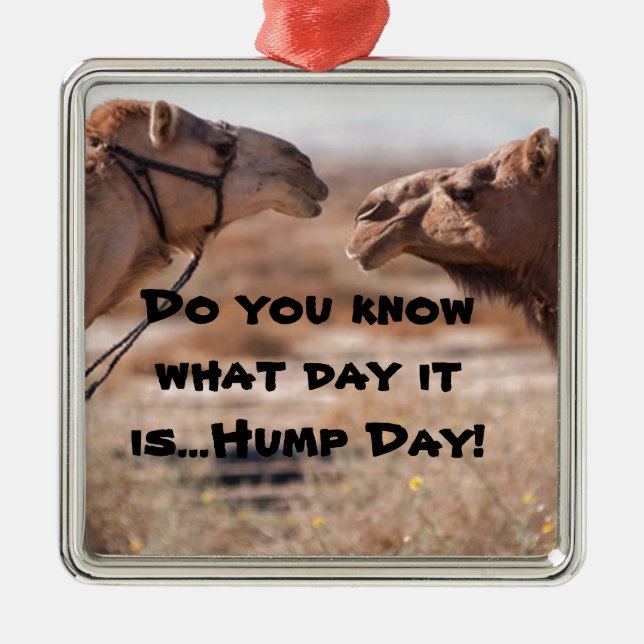 Hump Day Camels Julgransprydnad Metall (Framsidan)