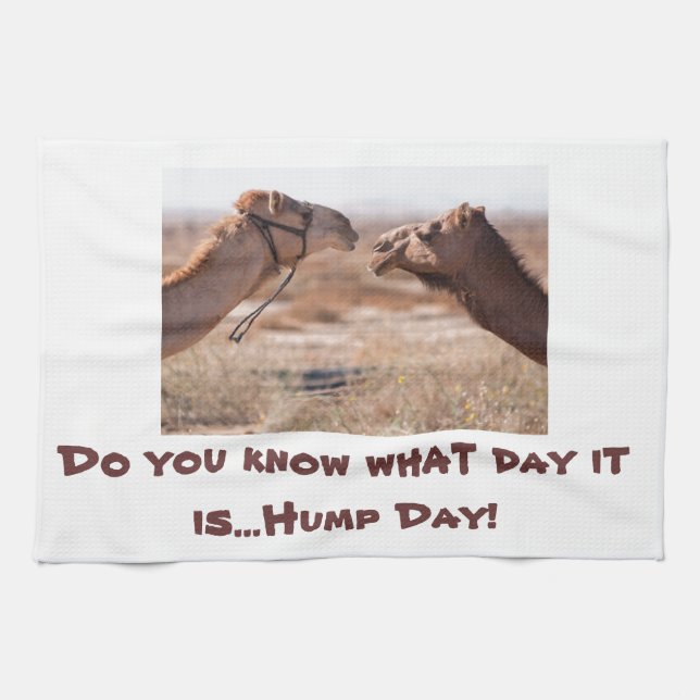 Hump Day Camels Kökshandduk (Horisontell)