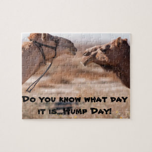 Hump Day Camels Pussel