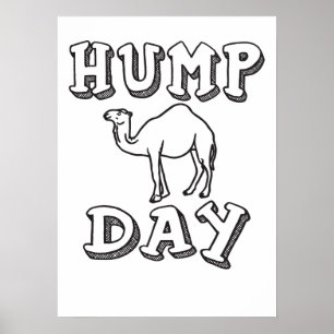 Hump Day - Lustigt Camel Poster