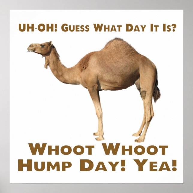 Hump Day Poster (Framsidan)