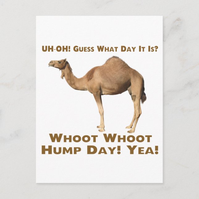 Hump Day Vykort (Framsida)