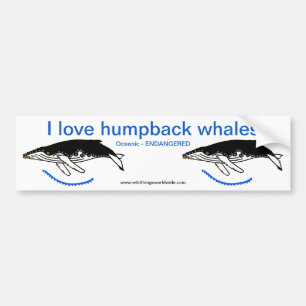 Hump-val - stötfångare bildekal