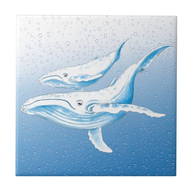 Humpback-familjen Kakelplatta (Framsidan)