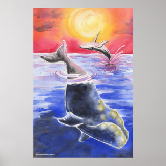 Humpback Höger Whale sunset Sea (ung. havsbottnen) Poster