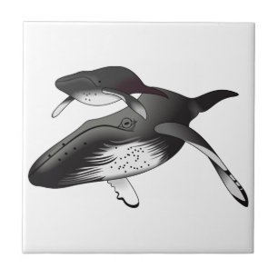 Humpback valar kakelplatta