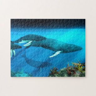 Humpback valar pussel