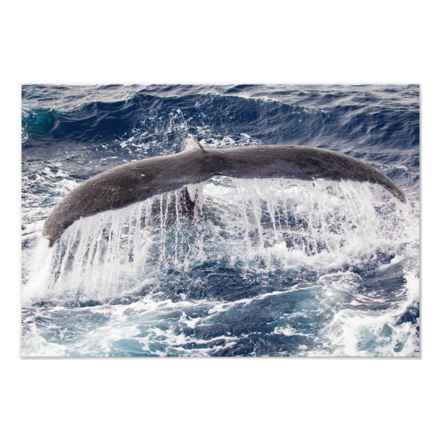 Humpback Waterfall Photo Print Fototryck (Framsidan)