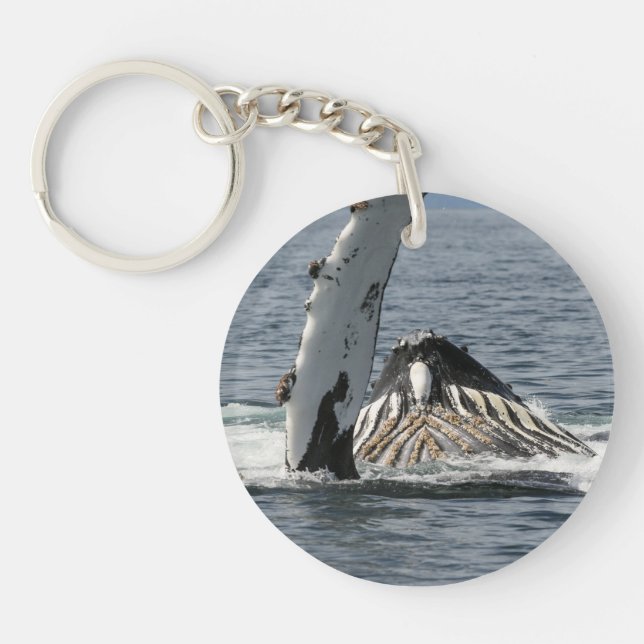 Humpback Whale (Framsidan)
