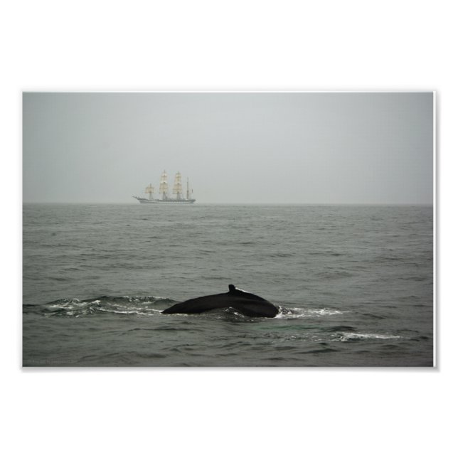 Humpback Whale and Tall Frakt Photo Fototryck (Framsidan)