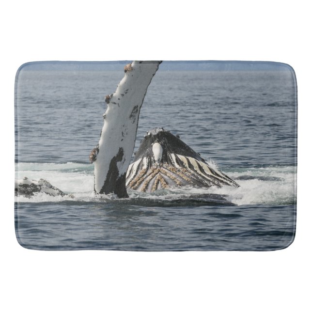Humpback Whale Badrumsmatta (Framsidan)