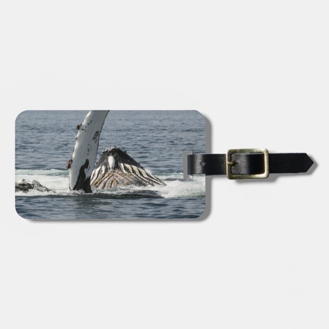 Humpback Whale Bagagebricka (Horisontell Framsida)