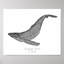Humpback Whale Dotwork
