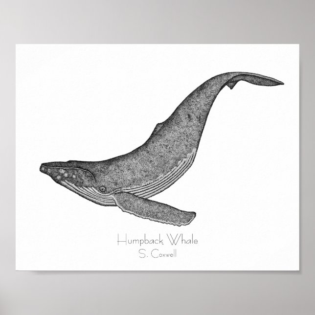 Humpback Whale Dotwork Poster (Framsidan)