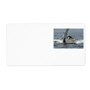 Humpback Whale Fraktsedel