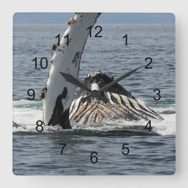 Humpback Whale Fyrkantig Klocka (Framsida)