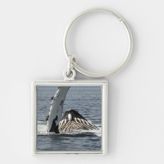 Humpback Whale Fyrkantig Silverfärgad Nyckelring (Framsidan)
