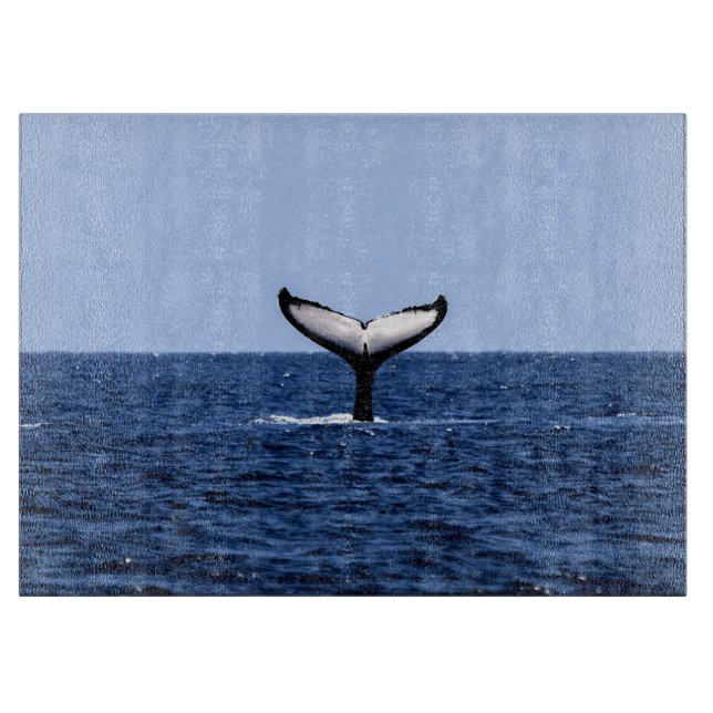 Humpback Whale i Ocean (Framsidan)