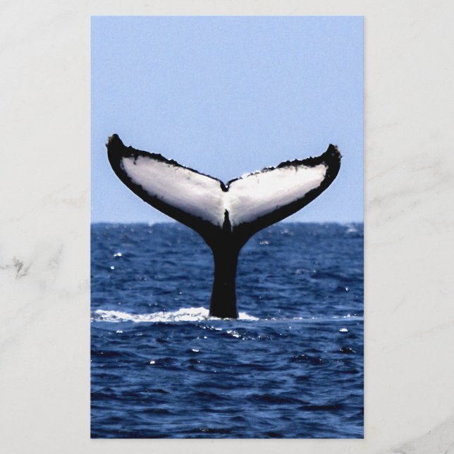 Humpback Whale i Ocean Brevpapper (Framsida)