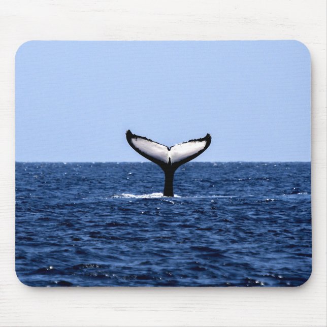 Humpback Whale i Ocean Musmatta (Framsidan)