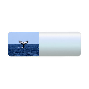 Humpback Whale i Ocean Returadress Etikett