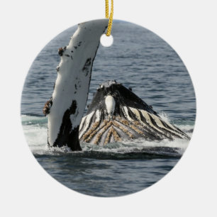 Humpback Whale Julgransprydnad Keramik
