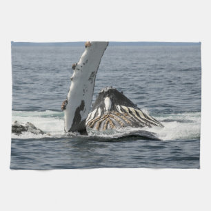 Humpback Whale Kökshandduk