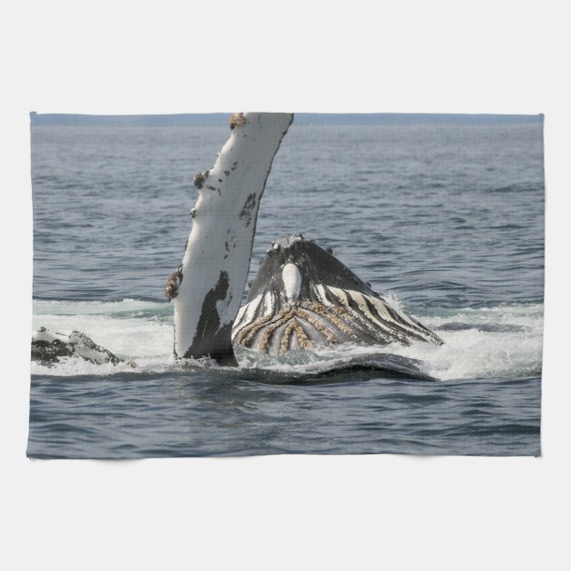 Humpback Whale Kökshandduk (Horisontell)