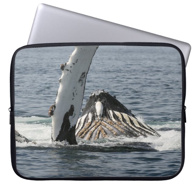 Humpback Whale Laptop Fodral (Framsidan)