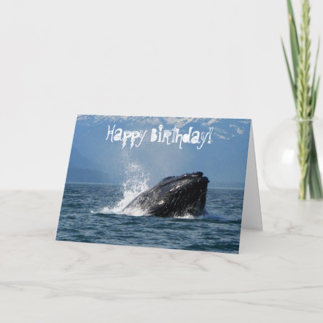 Humpback Whale Matar Kort (Framsida)
