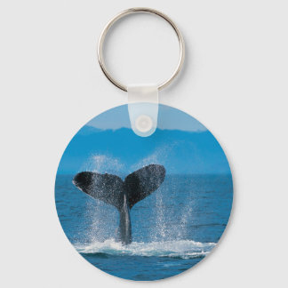 Humpback Whale Nyckelring