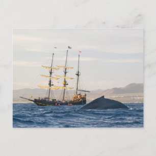 Humpback Whale och Frakt Vykort