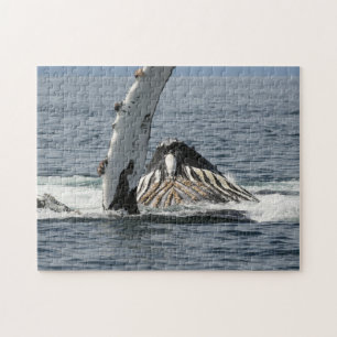Humpback Whale Pussel