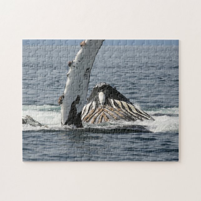 Humpback Whale Pussel (Horisontell)
