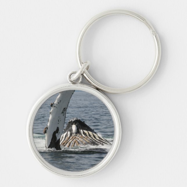Humpback Whale Rund Silverfärgad Nyckelring (Framsidan)