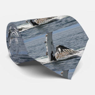Humpback Whale Slips