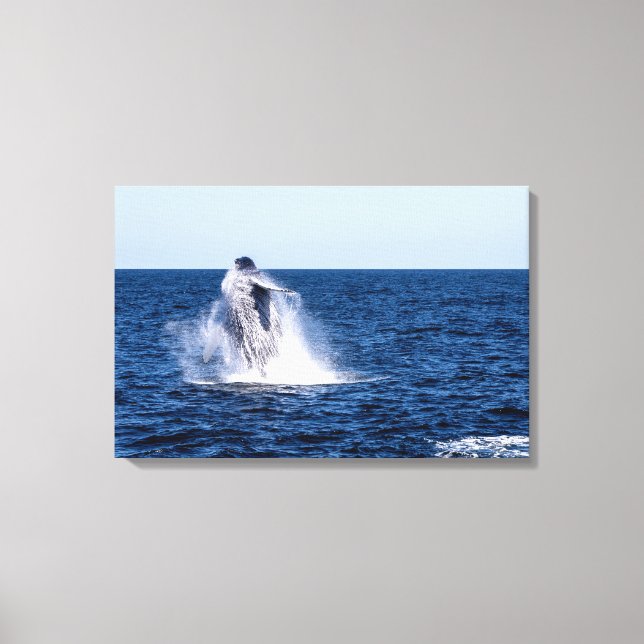 Humpback Whale Stretched Kanvastryck (Framsida)