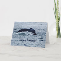 Humpback Whale Svan Alaska Photo Birthday