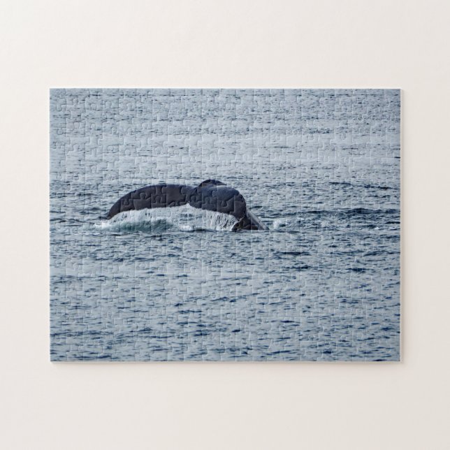 Humpback Whale Svan Alaska Photo Pussel (Horisontell)
