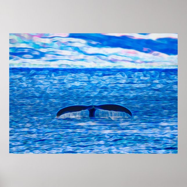 Humpback Whale Svan utanför Maui Hawaiis Kusten Poster (Framsidan)