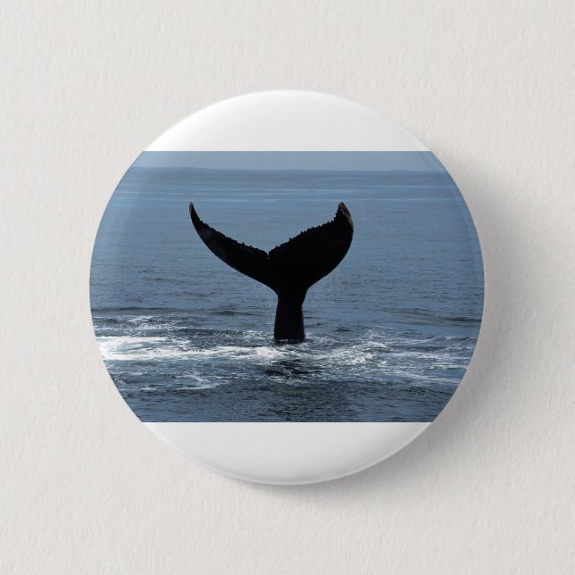 Humpback whale tail knapp (Framsida)