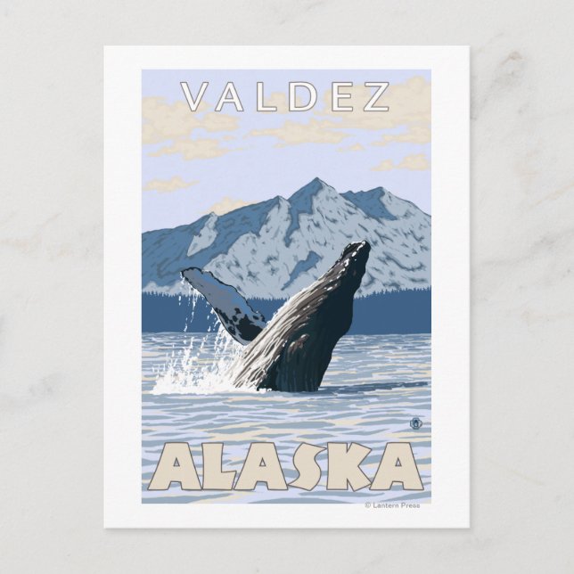Humpback Whale - Valdez, Alaska Vykort (Framsida)
