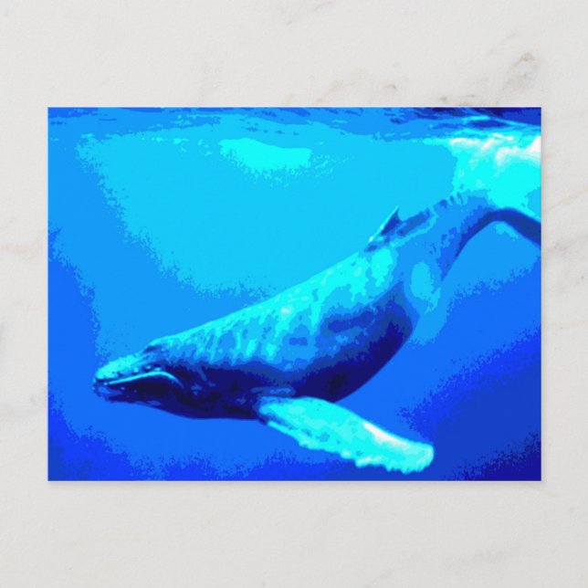 Humpback Whale Vykort (Framsida)
