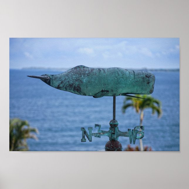 Humpback Whale Weather Vane Poster (Framsidan)