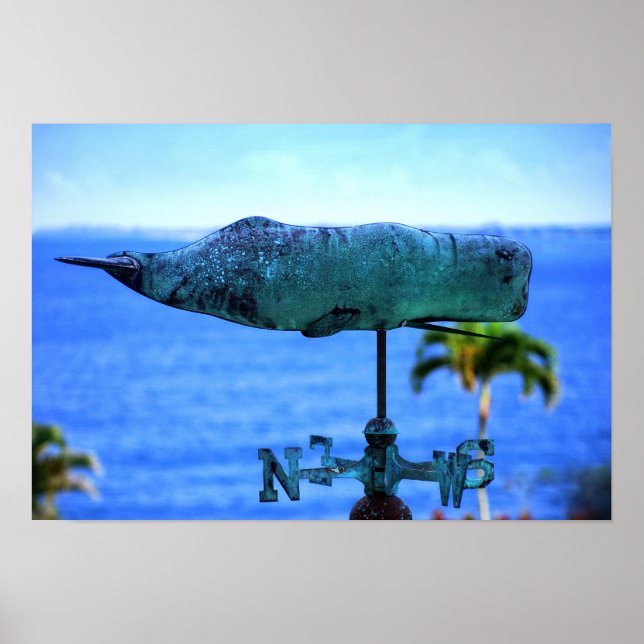 Humpback Whale Weather Vane Poster (Framsidan)