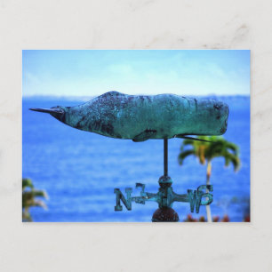 Humpback Whale Weather Vane Vykort