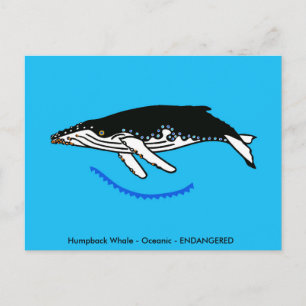 Humpback WHALE - Wildlife - Nature - Vykort