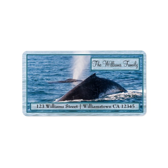 Humpback Whales-Adressetiketter Adressetikett (Framsidan)