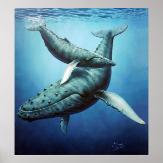 Humpbackarna "Serenity" Mor & Calf - Kanvastrycket Poster