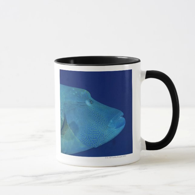 Humphead Wrasse 2 Mugg (Höger)